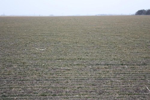 Property photo 2 - Kansas Land Auction - 960 Acres - 7 Farms in 3 Counties